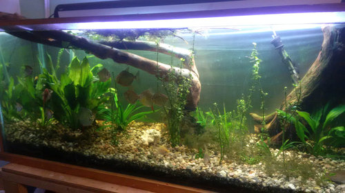 my100gal.jpg