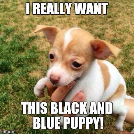 black n bue.jpg