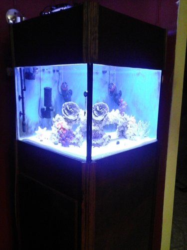 20150315_230541.jpg