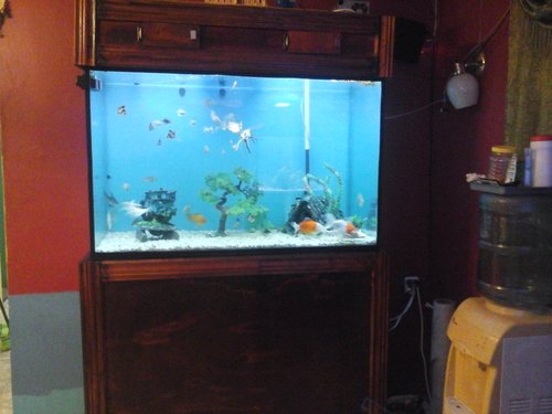 20150315_230700.jpg