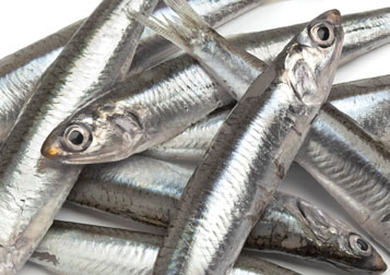 RP-TTops-Anchovy.jpg