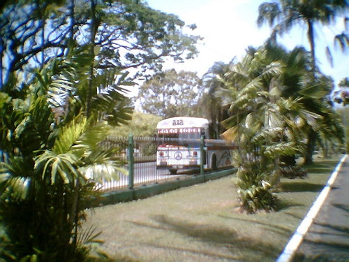 all vehicles011.jpg