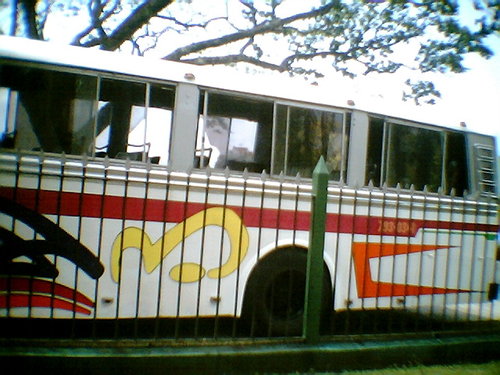 all vehicles013.jpg