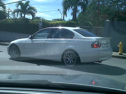 IMG00289-20110117-1352.jpg