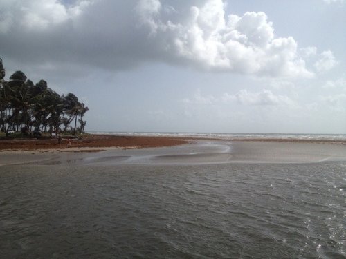ImageUploadedByTriniTuner1430674512.457619.jpg