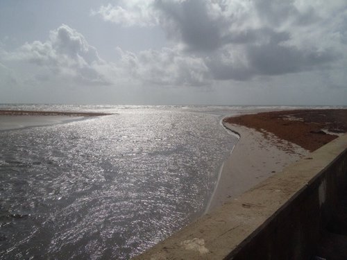 ImageUploadedByTriniTuner1430674519.926599.jpg