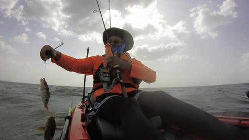 doublefish.jpg