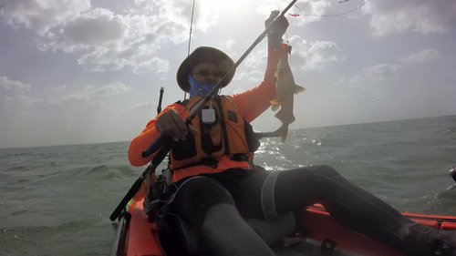 catfish3.jpg