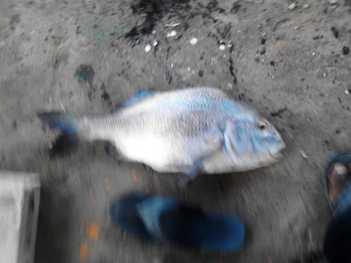 IMG_20150505_174423.jpg