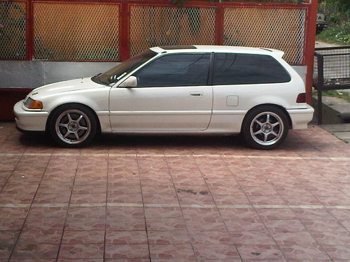 IMG00462-20110311-1044.jpg