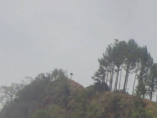 1434304208454.jpg