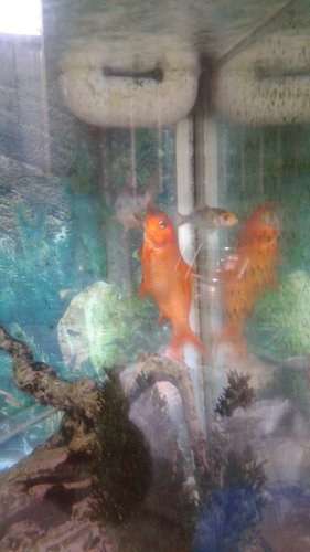 20150622_164441.jpg