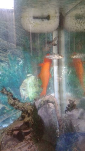 20150622_164445.jpg