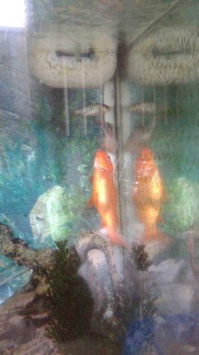 20150622_164511.jpg