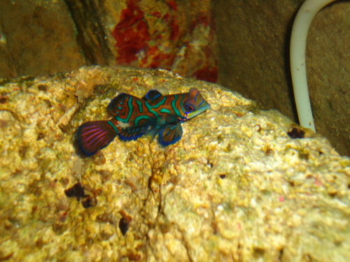 DSC01937.JPG