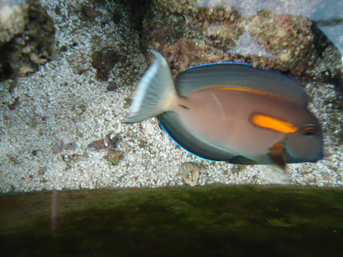 DSC02081.JPG