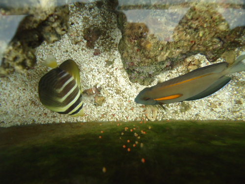 DSC02104.JPG