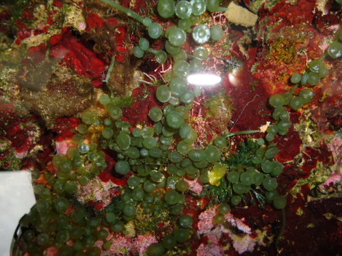 DSC02108.JPG