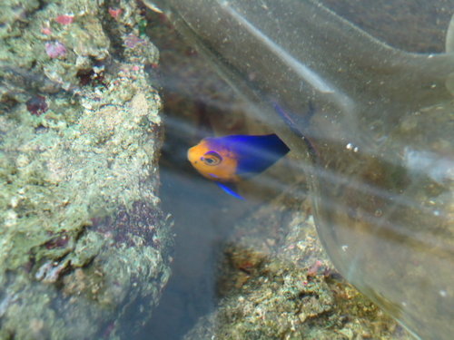 DSC02149.JPG