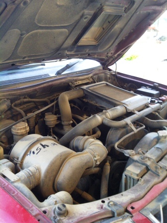 IMG-20110409-00210.jpg
