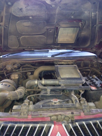 IMG-20110409-00208.jpg