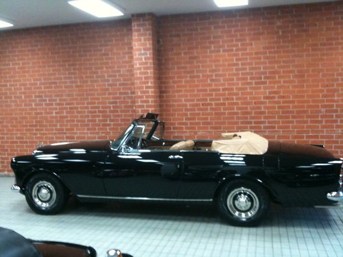 Top down.jpg