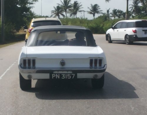20150903_091055.jpg