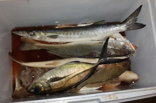 IMG.20150924.WA0020.jpg