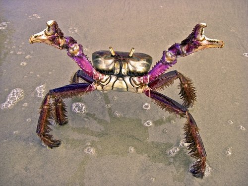 tumblr_n18oivVWDu1sq1114o1_1280.jpg