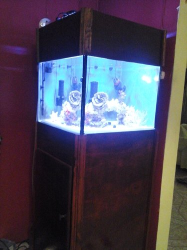 20150315_230611.jpg