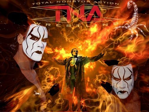 sting.jpg