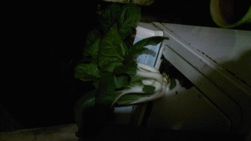 20151126_220722.jpg