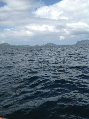 ImageUploadedByTriniTuner1452475336.297870.jpg