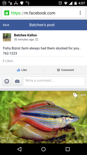Screenshot_2016-02-05-16-07-42.png