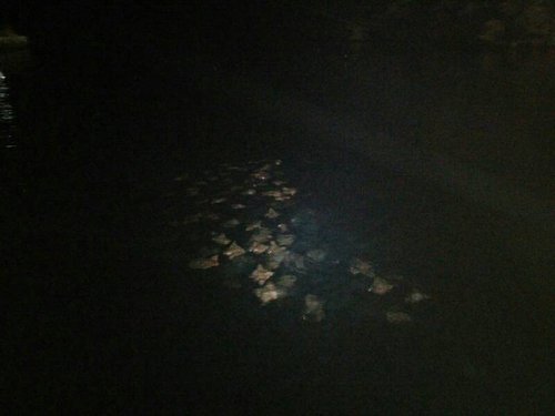 1454736538899.jpg