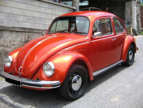 20110513094437-bug1.jpg