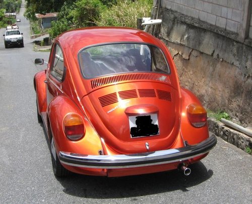 20110513094537-bug2.jpg