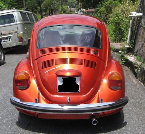 20110513094618-bug3.jpg