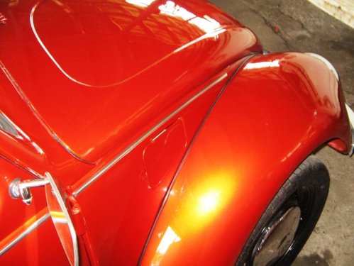 20110510154344-bug6.jpg