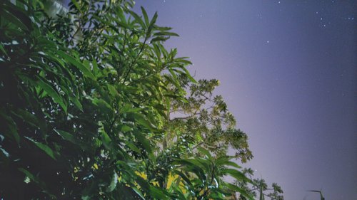 snapseed-03 edit.jpg