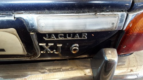 1937191_10156635101250076_2708465375630077511_n.jpg