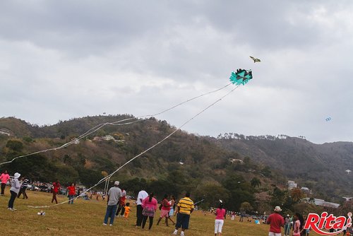 01.jpg