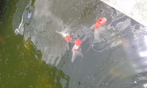 20160330_120123.jpg