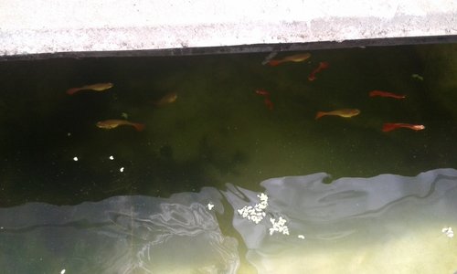 20160330_120457.jpg