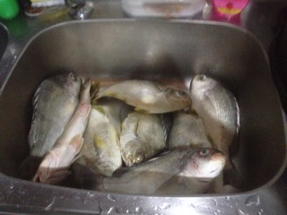 ImageUploadedByTriniTuner1460939830.235666.jpg