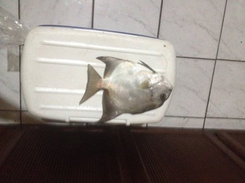 ImageUploadedByTriniTuner1460940100.933140.jpg