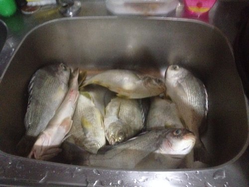 ImageUploadedByTriniTuner1460940109.188712.jpg