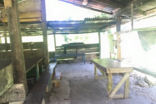 01.jpg