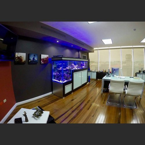 Office tank.jpg