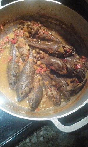 IMG_20160522_151215.jpg